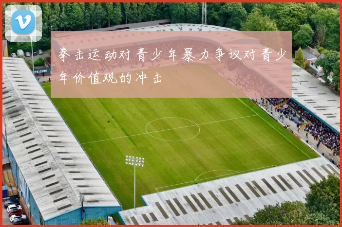 拳击运动对青少年暴力争议对青少年价值观的冲击