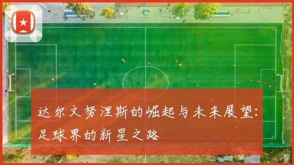 达尔文努涅斯的崛起与未来展望：足球界的新星之路