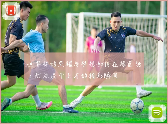 世界杯的荣耀与梦想如何在绿茵场上绽放成千上万的精彩瞬间