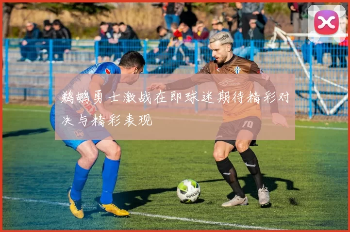 鹈鹕勇士激战在即球迷期待精彩对决与精彩表现