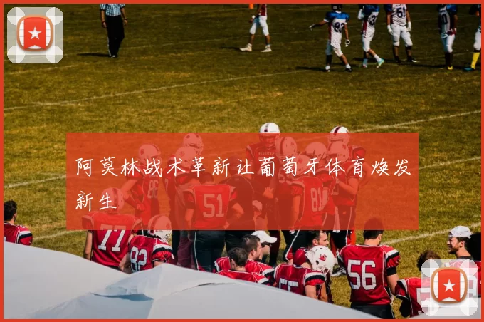 阿莫林战术革新让葡萄牙体育焕发新生
