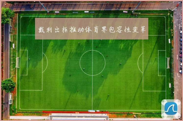 戴利出柜推动体育界包容性变革