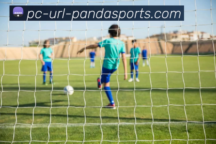 熊猫体育PANDA品牌故事