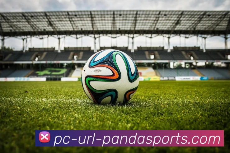 熊猫体育PANDA服务体系